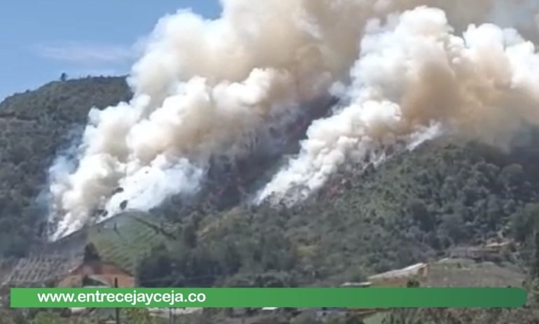 Incendio forestal amenaza con afectar acueducto veredal de San Vicente