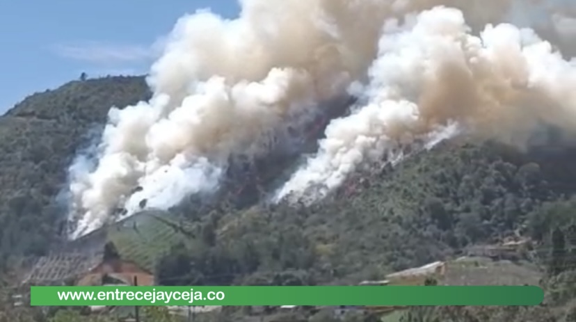 Incendio forestal amenaza con afectar acueducto veredal de San Vicente