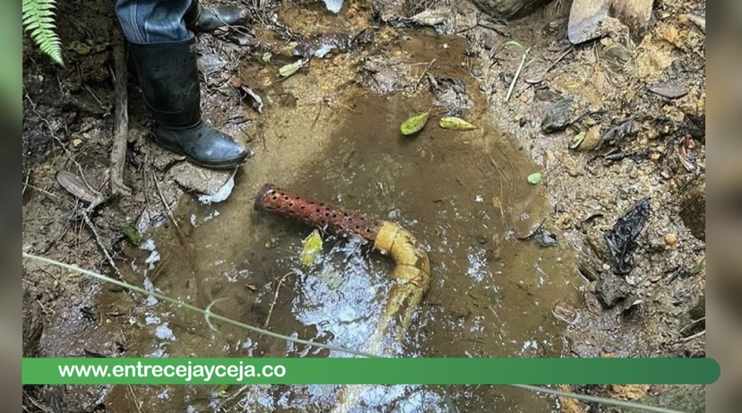 Quebrada La Pereira en La Ceja se está secando; hacen un llamado a ahorrar agua