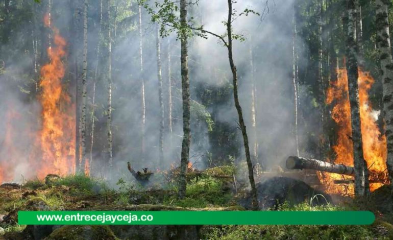 ¡Tome conciencial, juntos podemos prevenir los incendios forestales