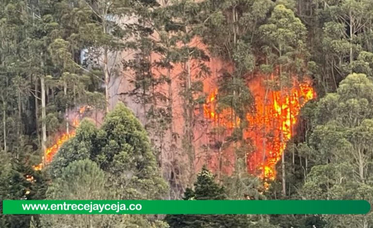Jornada de incendios en el Oriente; San Vicente, Rionegro y El Retiro reportaron emergencias
