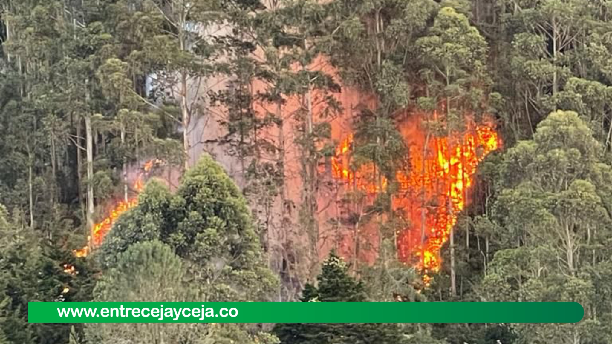 Jornada de incendios en el Oriente; San Vicente, Rionegro y El Retiro reportaron emergencias