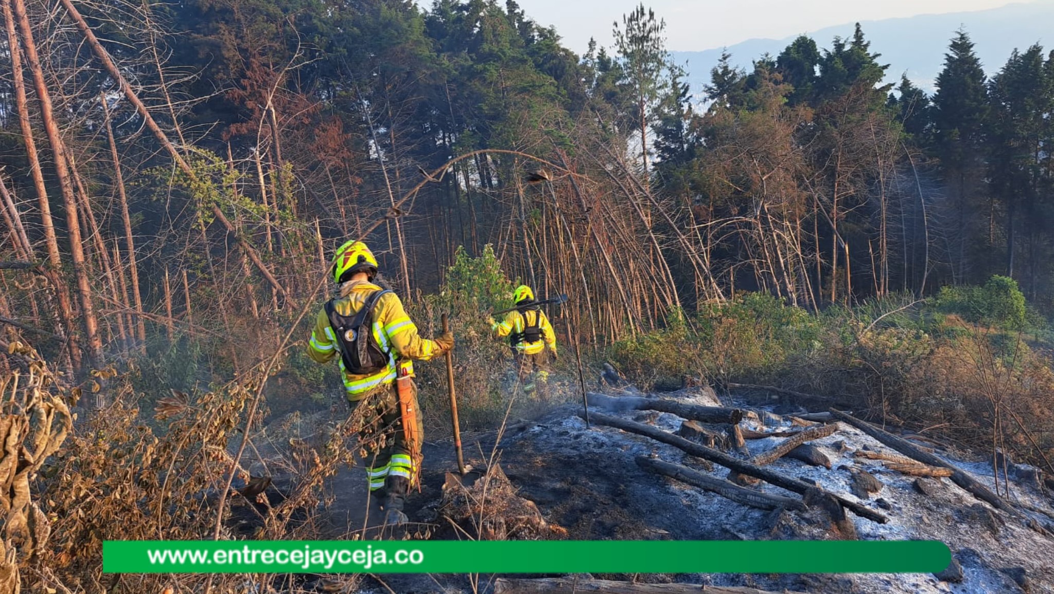 ¡No baje la guardia! Temperaturas históricas, 186 incendios y 146 hectáreas quemadas