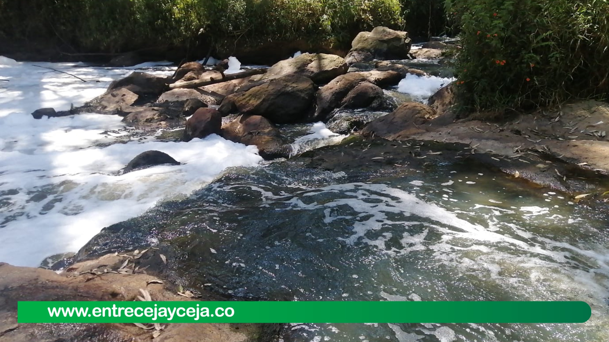 Sequía y vertimientos domésticos están afectando la quebrada La Pereira