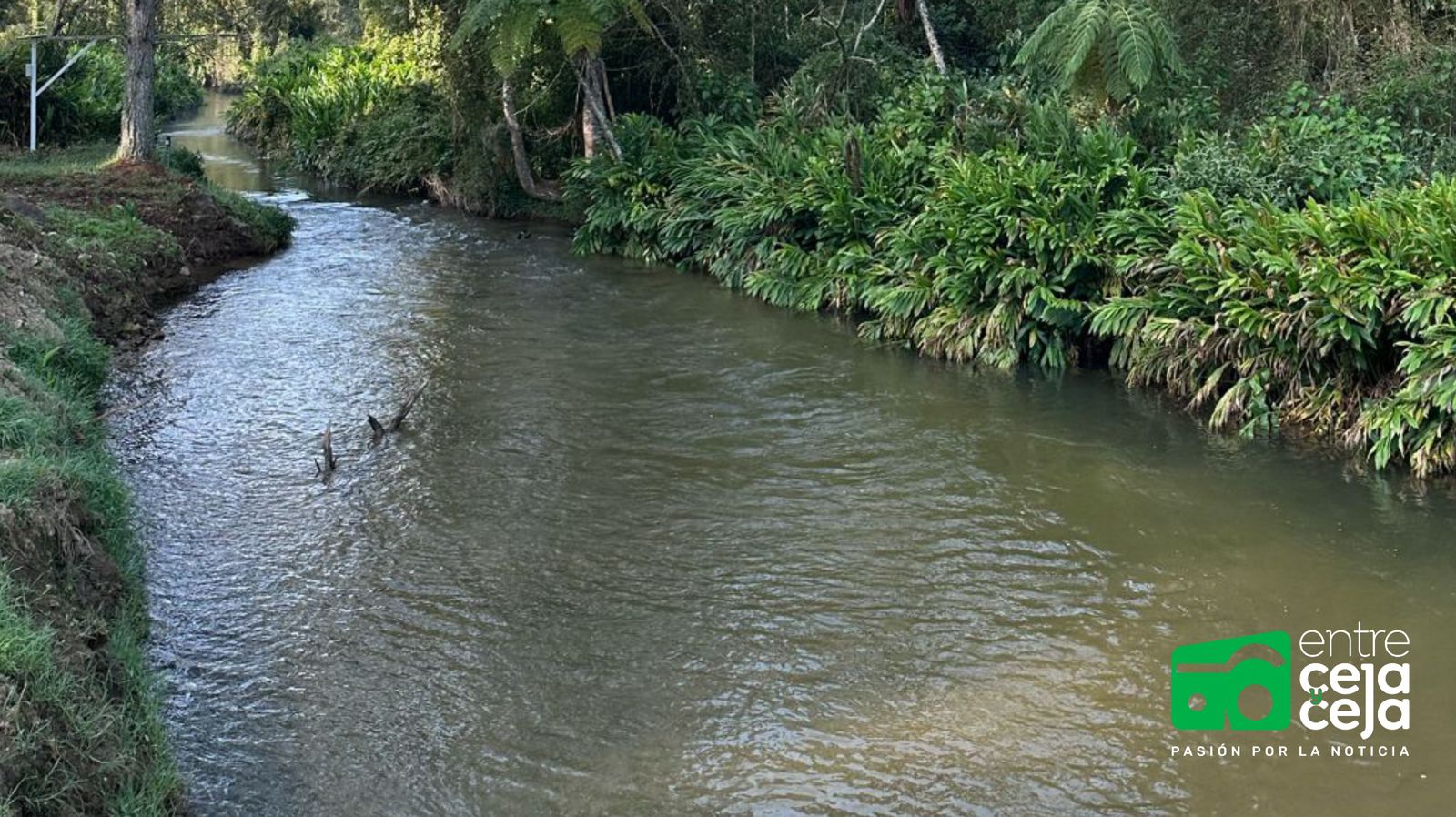 Preocupa la disminución de los caudales de agua en La Ceja