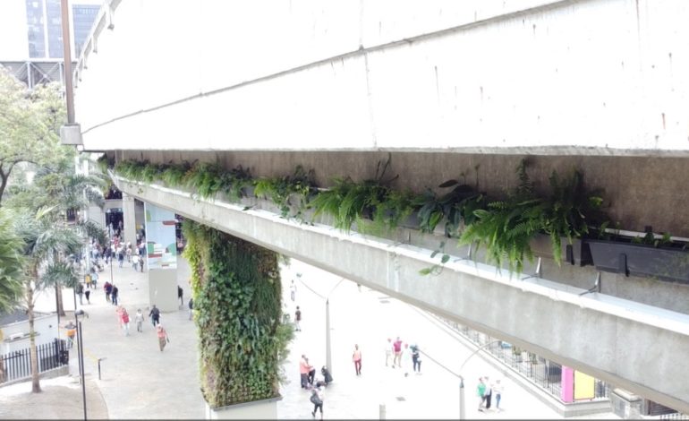 Esta sería la estrategia para purificar el aire en Medellín