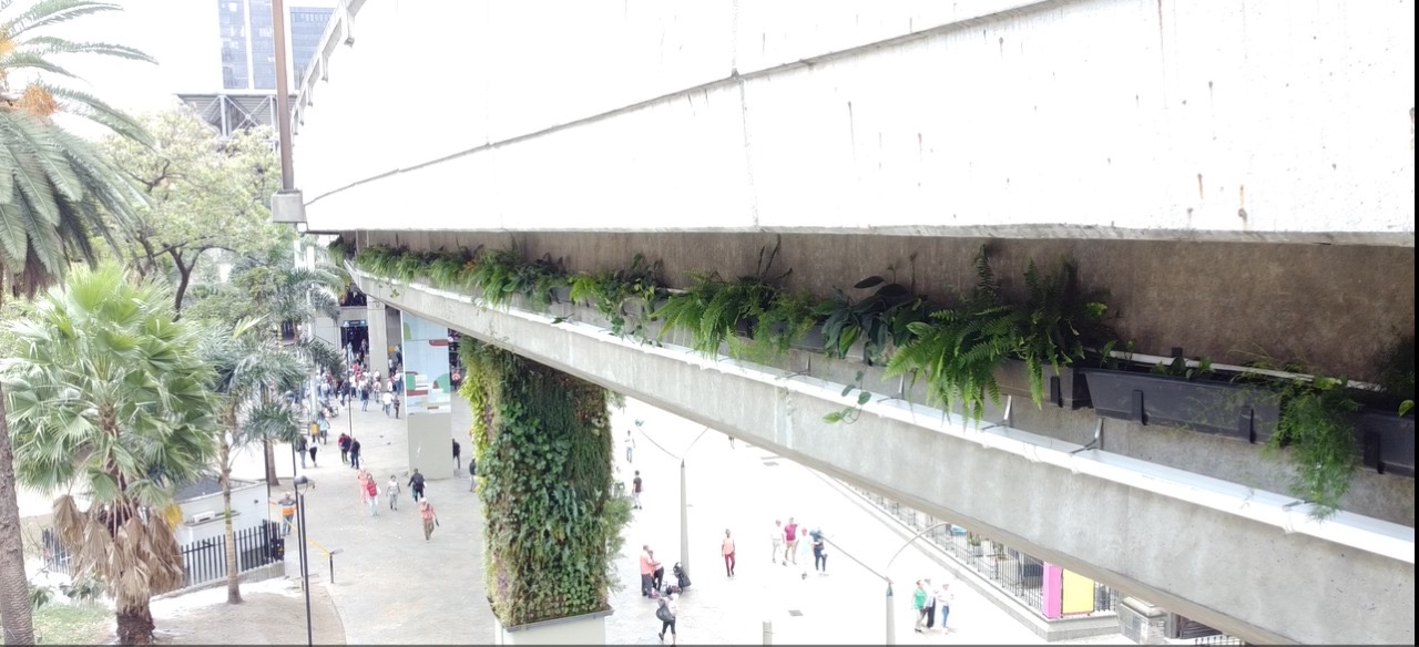 Esta sería la estrategia para purificar el aire en Medellín