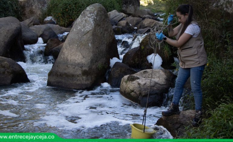 Preocupación por alta mortandad de peces en Quebrada La Marinilla; Cornare investiga