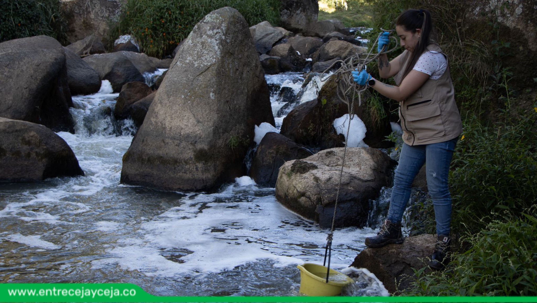 Preocupación por alta mortandad de peces en Quebrada La Marinilla; Cornare investiga