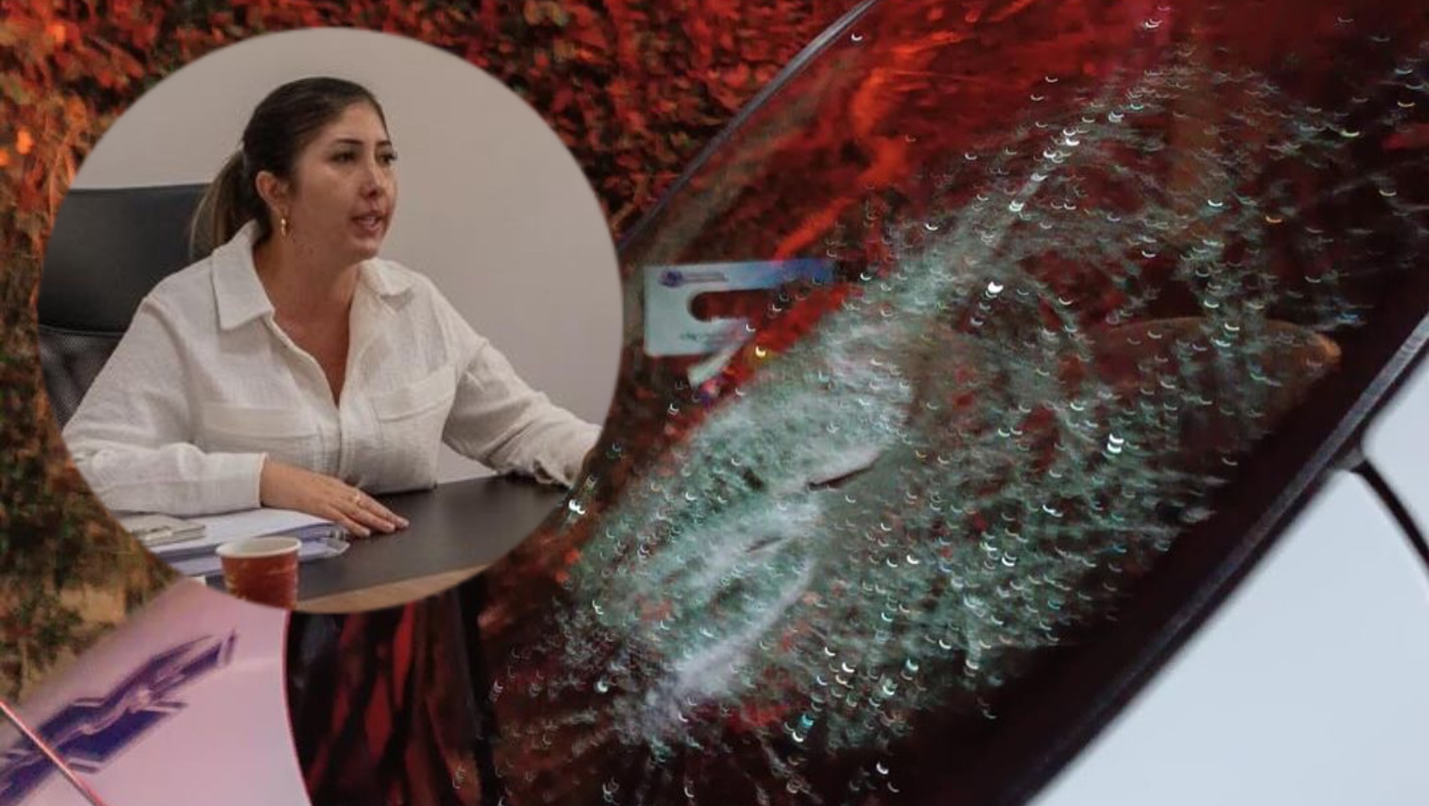 «Trabajaremos para que este delito no quede impune»: Ilbed Santa