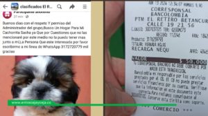 Perro gratis por facebook - Estafa facebook - El Retiro - Perros estafa - Entre Ceja y Ceja