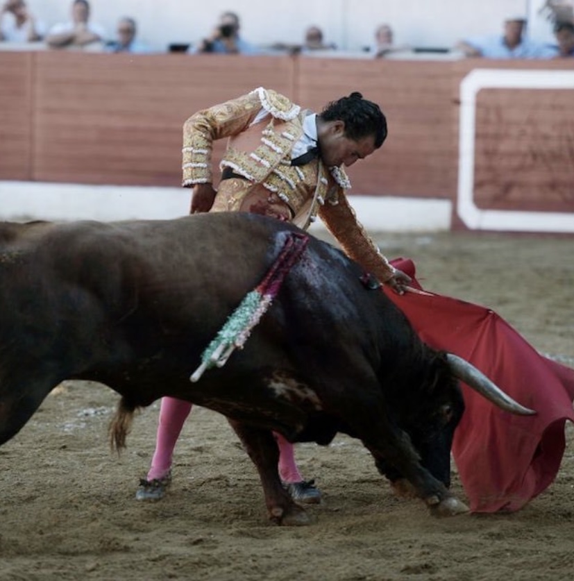 Congreso aprobó proyecto que prohíbe las corridas de toros en Colombia