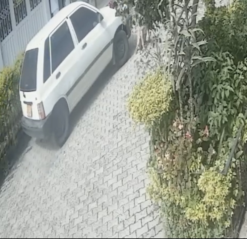 Hombre arrolló a una perrita en El Carmen; familia pide que responda