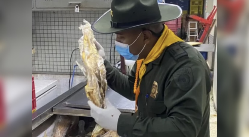 Policía incautó más de 250 kilos de pescado en mal estado listo para ser distribuido en el centro