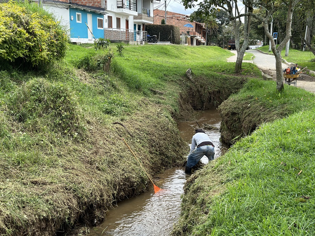 Realizan limpieza de quebradas en La Ceja