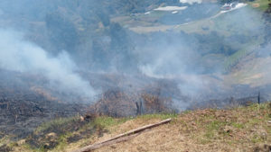 Urgente: Reportan incendio en El Carmen de Viboral, requiere intervención inmediata