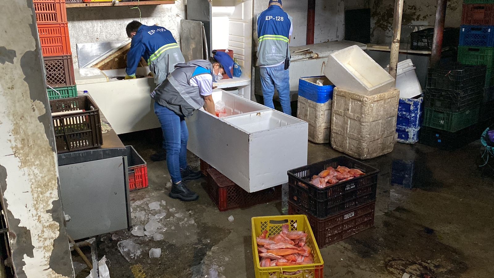 Incautan en Medellín dos toneladas de pescado en malas condiciones