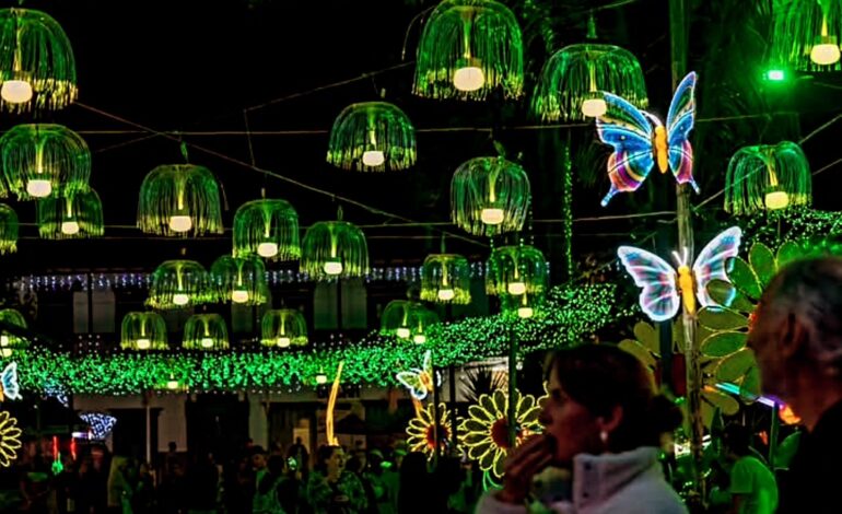 Alumbrado navideño de La Ceja - La Ceja - Ildetec