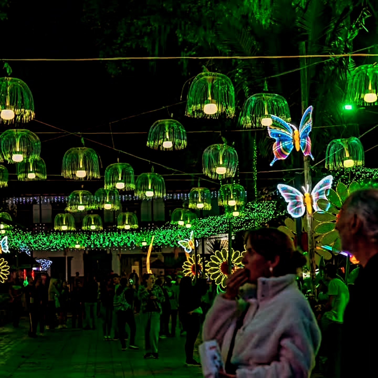 Alumbrados navideños de La Ceja estarán encendidos hasta inicios de febrero