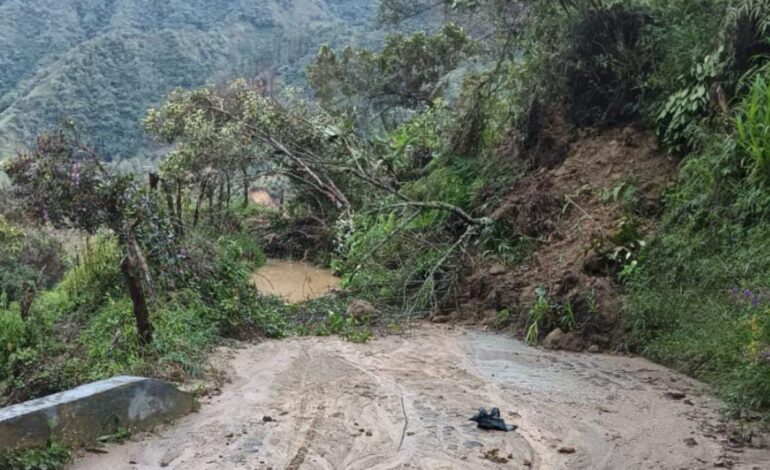 Argelia Antioquia, emergencia invernal, derrumbes, deslizamientos, cultivos afectados, vías terciarias, lluvias.