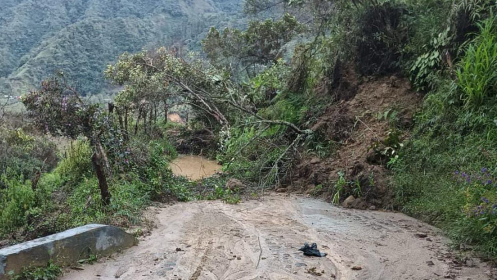 Argelia Antioquia, emergencia invernal, derrumbes, deslizamientos, cultivos afectados, vías terciarias, lluvias.