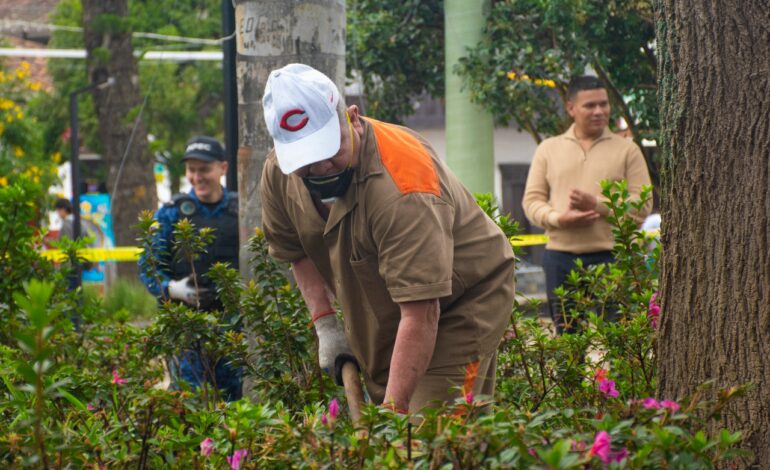 Presos de Cárcel de La Ceja embellecen el Parque Principal