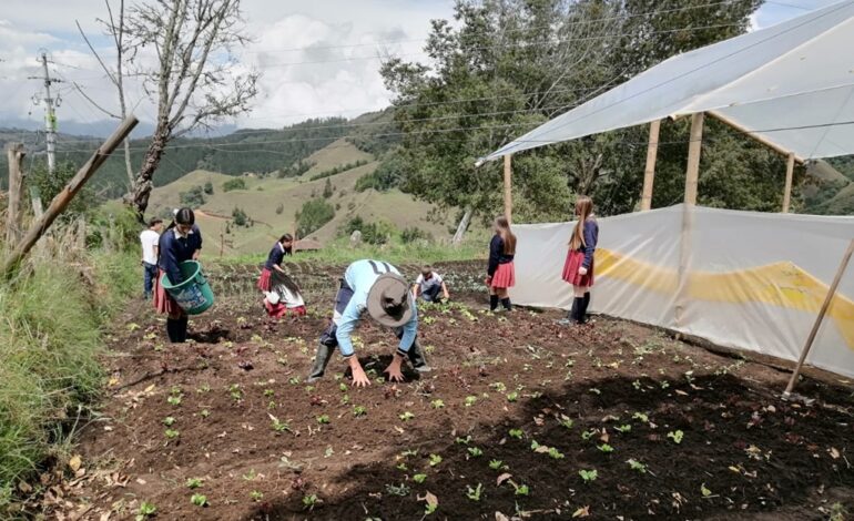 52 beneficiarios en La Ceja mejoran su seguridad alimentaria gracias al proyecto de Huertas Agroforestales