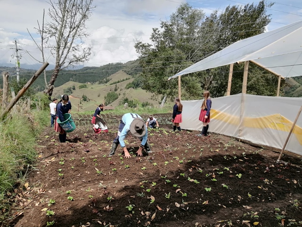 Niños y jóvenes trabajando en huertas agroforestales en La Ceja.