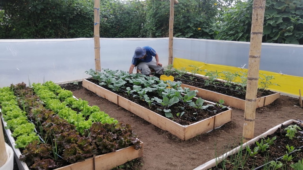 Niños y jóvenes trabajando en huertas agroforestales en La Ceja.