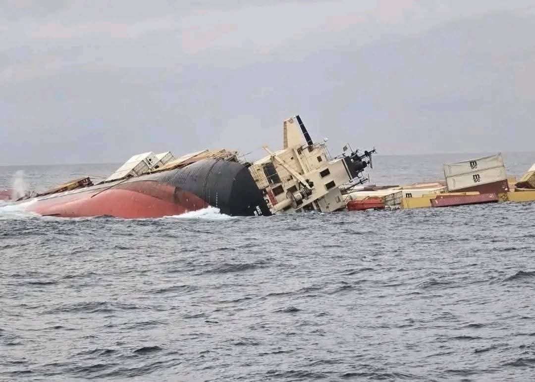 Naufragio del buque MSC ELSA 3 con contenedores de TEMU frente a India.