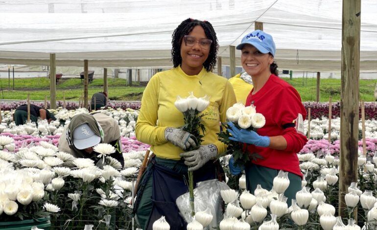 Colombia triplica la operación logística de flores para el Día de la Madre