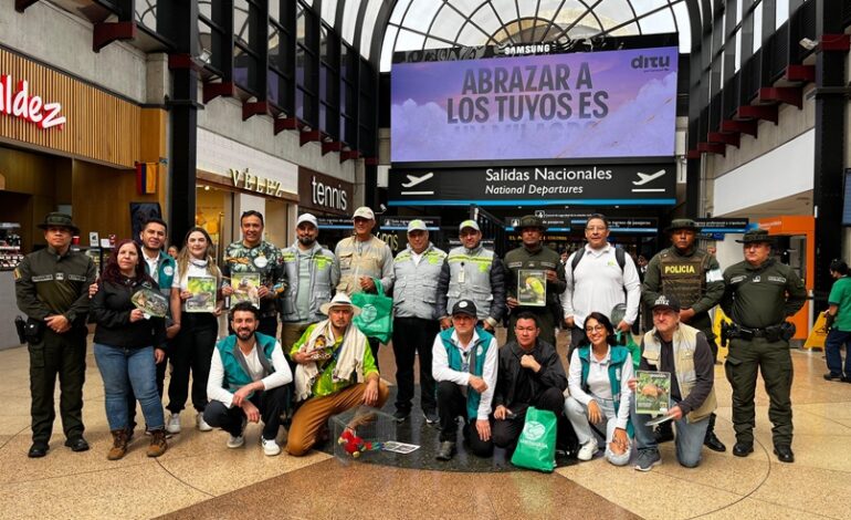 Cornare y el Área Metropolitana lideran acciones contra el tráfico de fauna silvestre en Antioquia