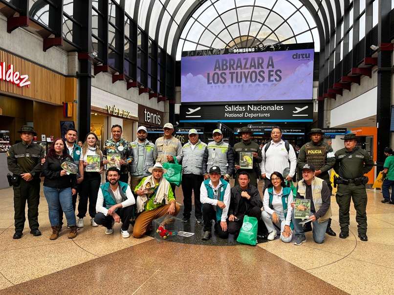 Cornare y el Área Metropolitana se unen para frenar el tráfico ilegal de fauna silvestre en el Oriente Antioqueño