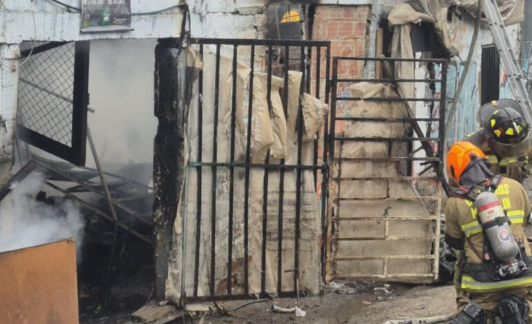 Dos mascotas fallecen tras incendio en una chatarrería de Medellín
