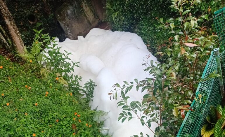 Espuma en quebradas de La Ceja por derrame de jabón.