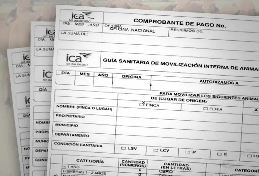 En La Unión avanza la gestión para restablecer la expedición de guías de movilidad ganadera