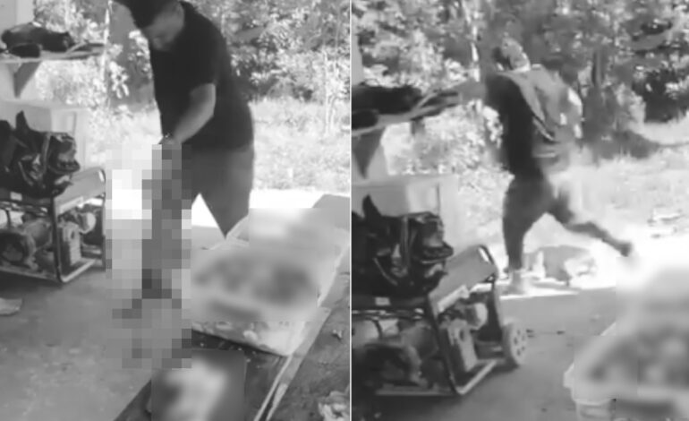 Autoridades investigan a hombre de Sonsón que aparece golpeando a un perrito en un video