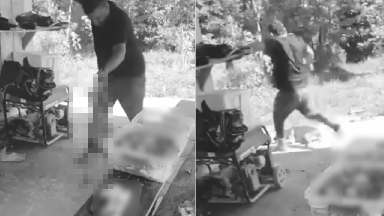 Autoridades investigan a hombre de Sonsón que aparece golpeando a un perrito en un video
