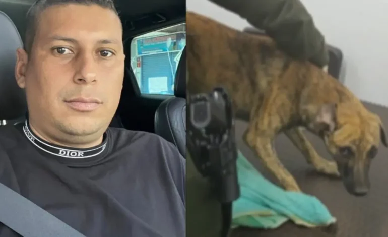 Hombre que golpeó a un perrito se entregó a las autoridades y llegó acompañado del que sería el animalito agredido