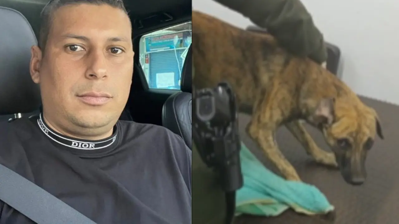 Hombre que golpeó a un perrito se entregó a las autoridades y llegó acompañado del que sería el animalito agredido