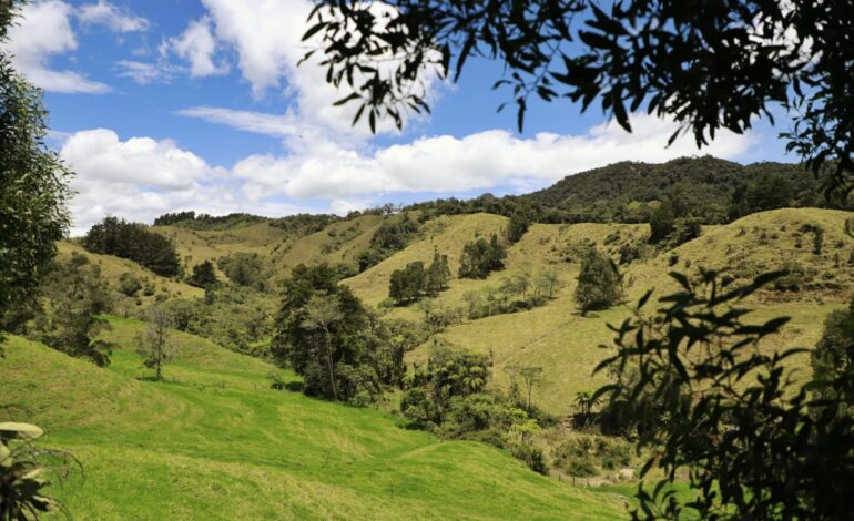 Parque Los Tambos La Ceja manejo de residuos y conservación ambiental
