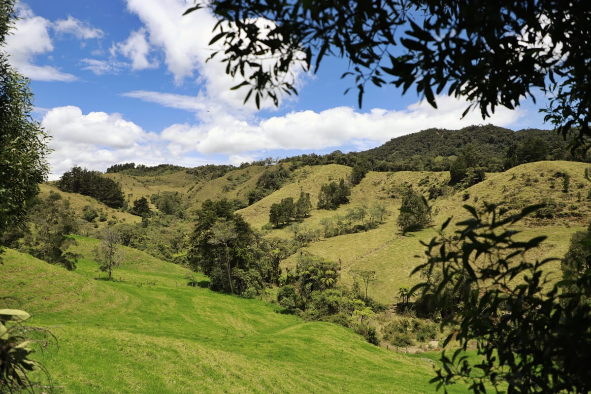 Los Tambos renace: revelan cómo fue recibido el parque y la drástica transformación ambiental en La Ceja