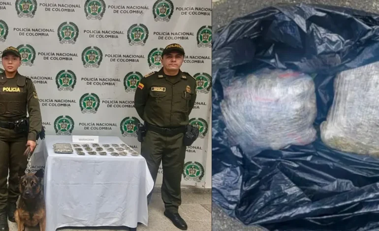 Un perrito antinarcóticos descubrió marihuana durante un operativo de la Policía en las vías de La Ceja