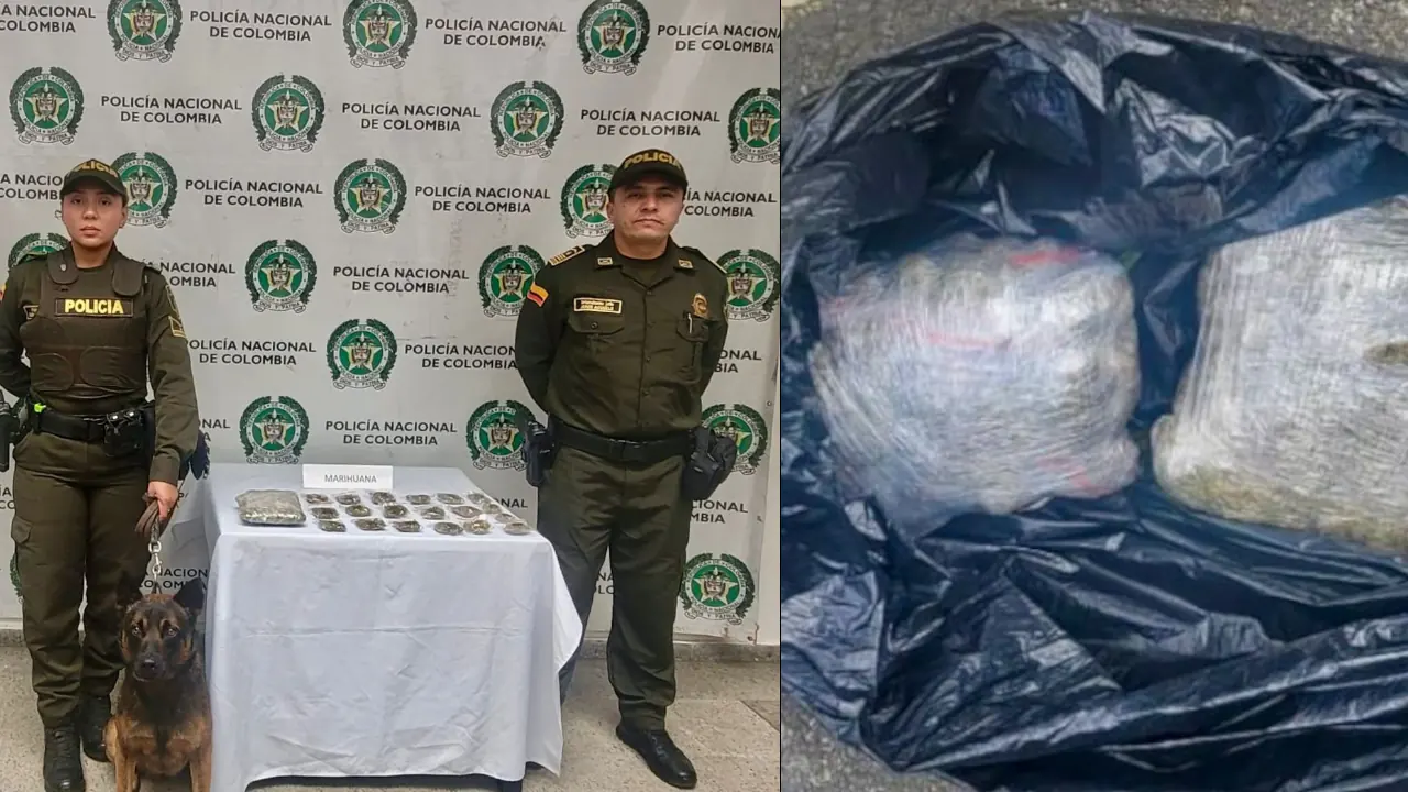 Un perrito antinarcóticos descubrió marihuana durante un operativo de la Policía en las vías de La Ceja