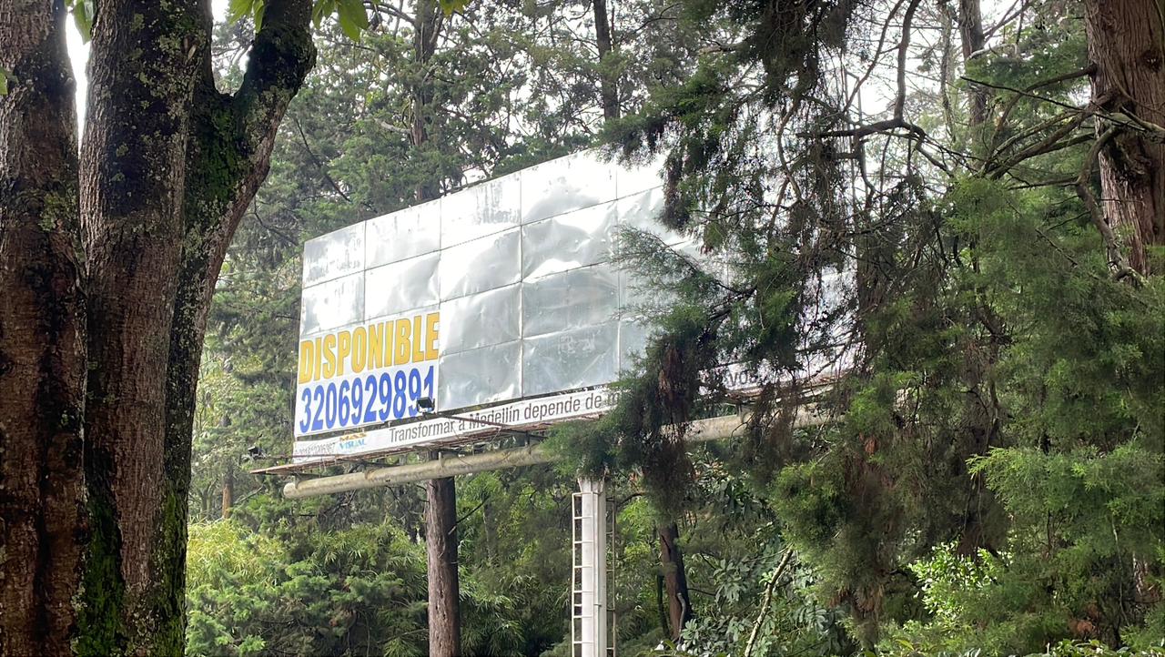 En Medellín intensifican operativos contra propaganda política anticipada para elecciones al Congreso 2026