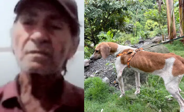 En Antioquia, rescataron a tres perritos que eran abusados y judicializaron al presunto agresor