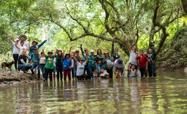 Repoblamiento de bocachico con alevinos en ríos de Antioquia liderado por Cornare y la AUNAP