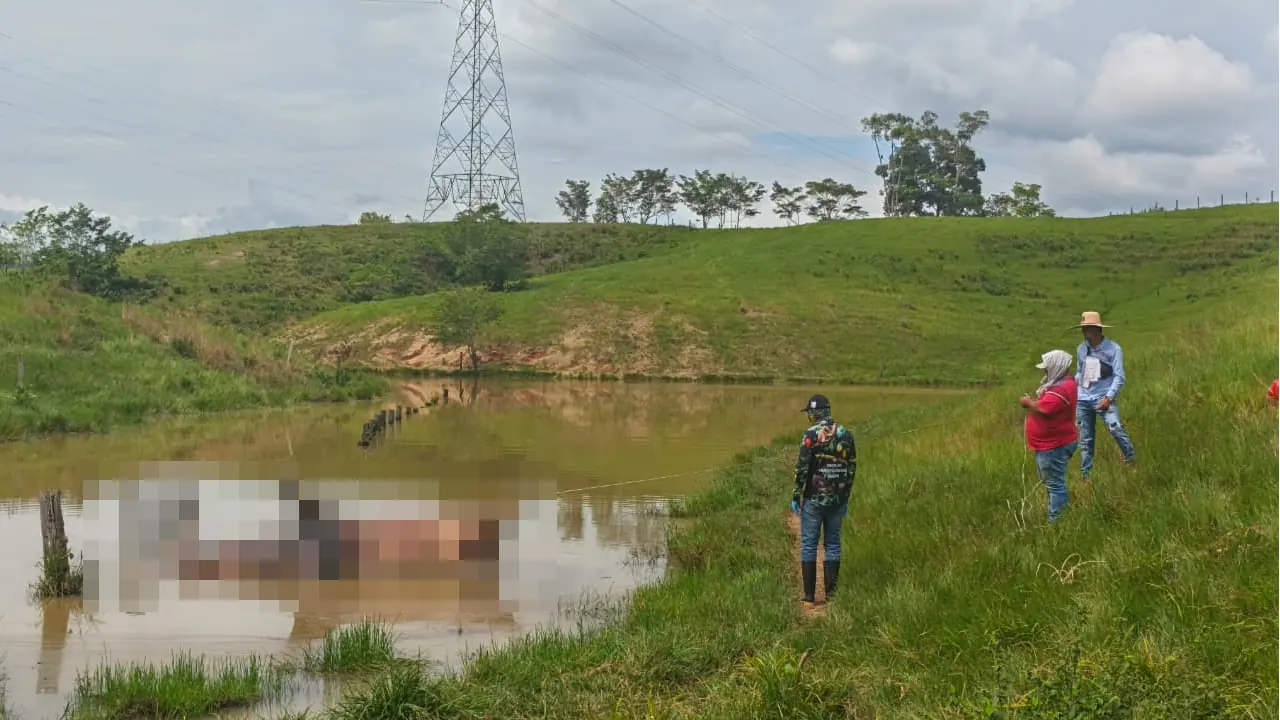 Cornare investiga muerte de hipopótamo hallado en antigua Hacienda Nápoles