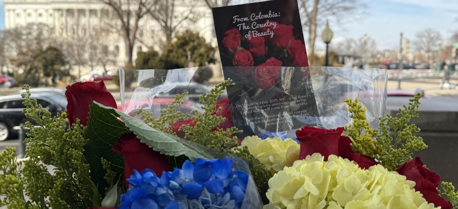 Embajada de Colombia en EE. UU. entrega flores a congresistas por San Valentín