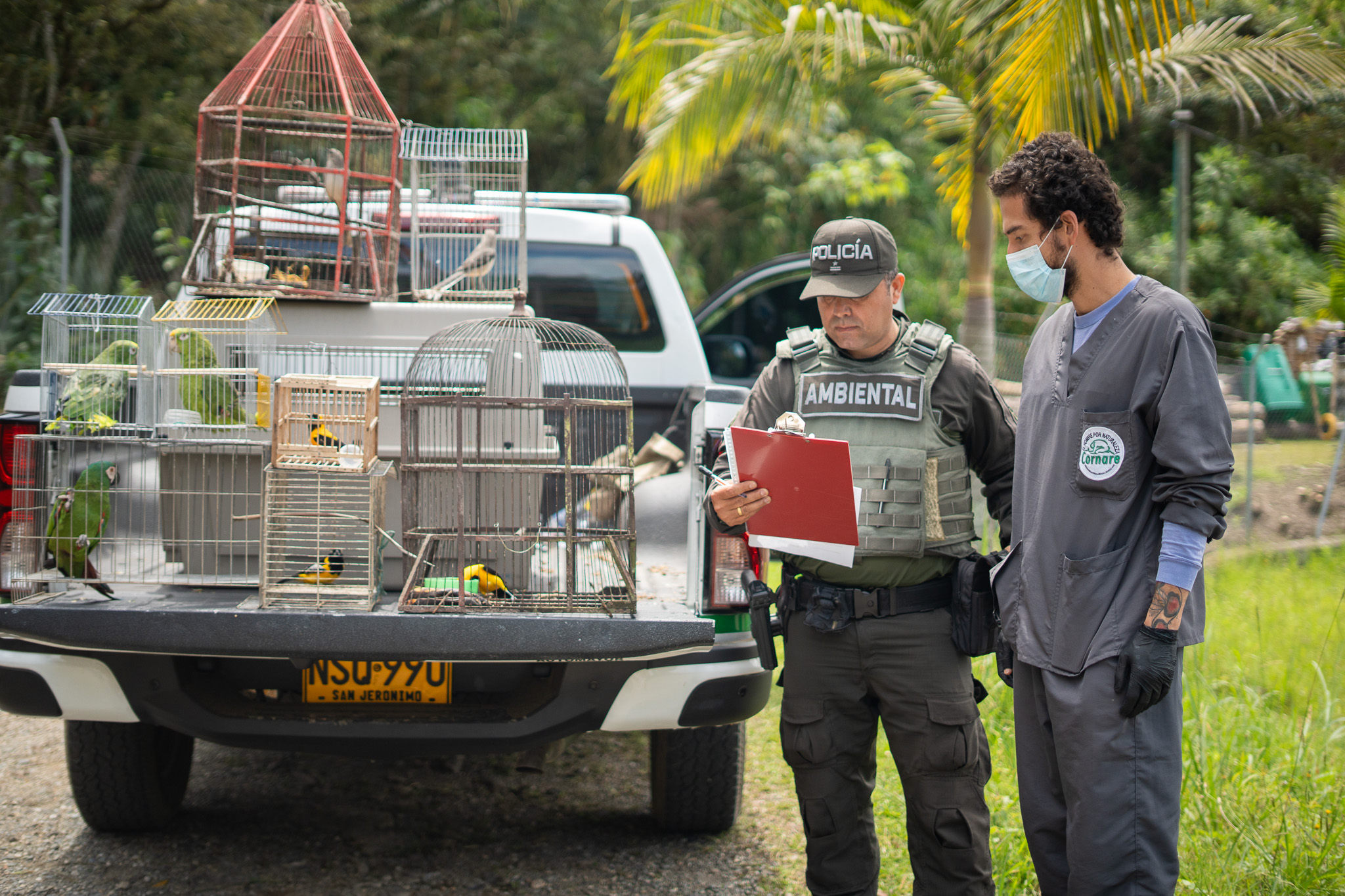Rescataron ocho aves silvestres en Guarne tras años en cautiverio